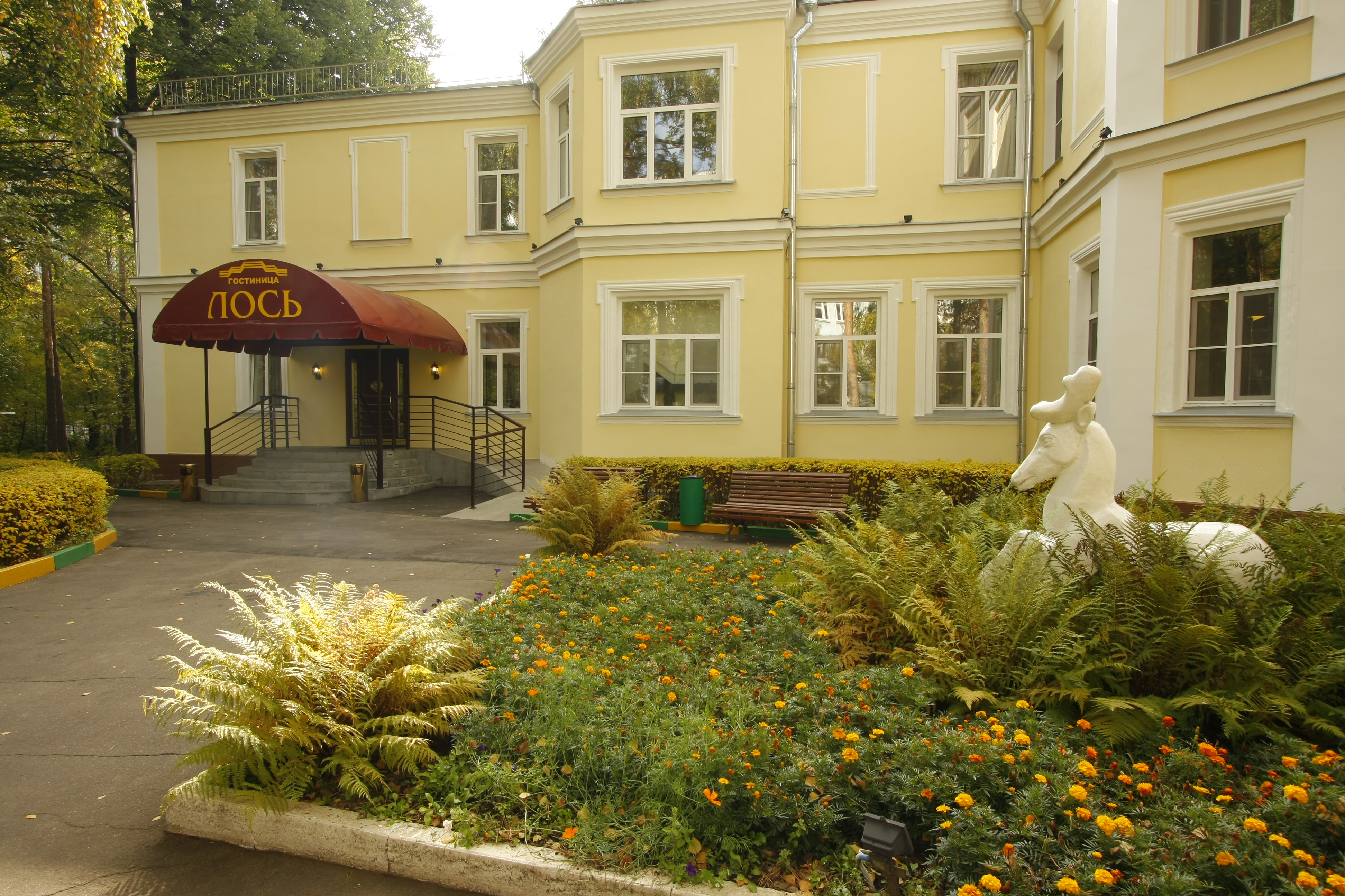 Los Hotel