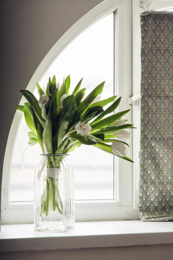 Menshikov Boutique Hotel