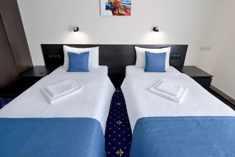 Ros Hotel Izmailovo
