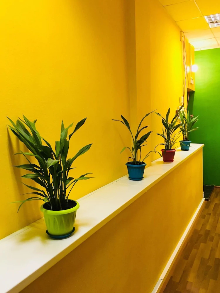 Travel Inn Novoslobodskaya