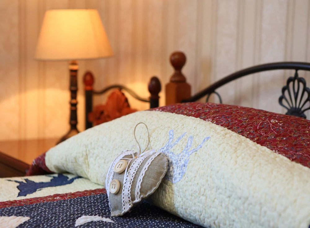 Guest House Nikolin Park