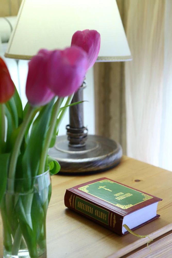 Guest House Nikolin Park