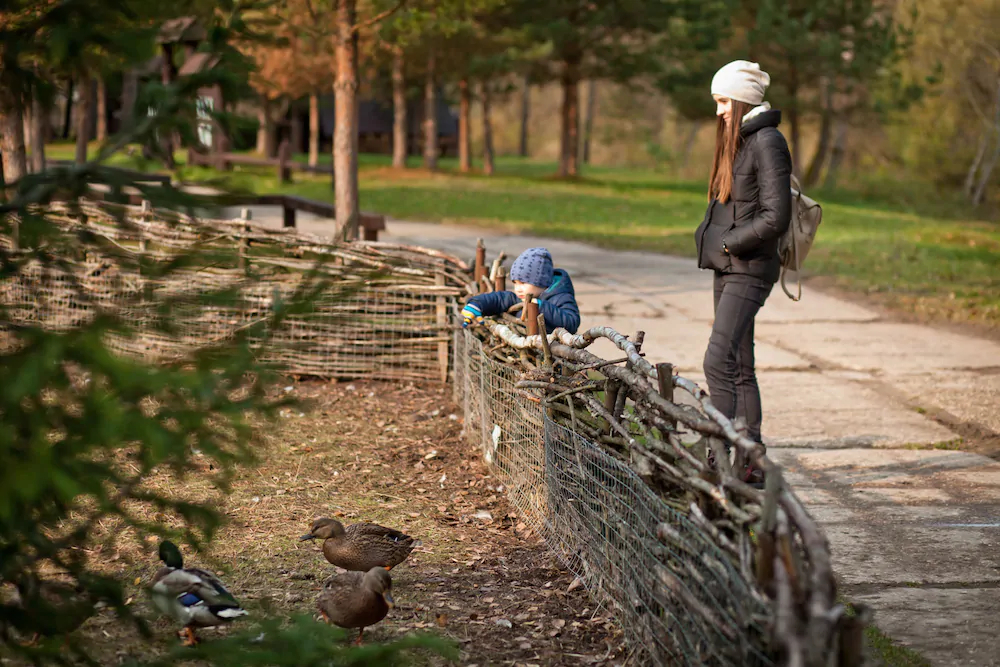 Country Resort Hotel