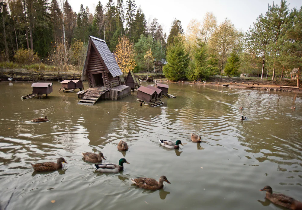 Country Resort Hotel