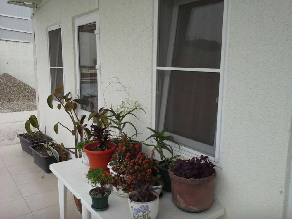 Vesta Guest House