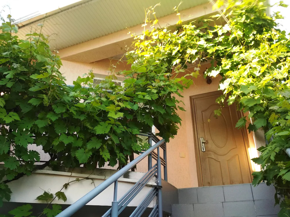 Guest House Galatea