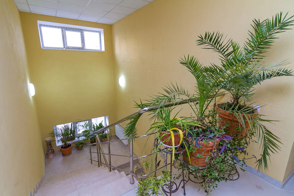 Hotel Abazhur