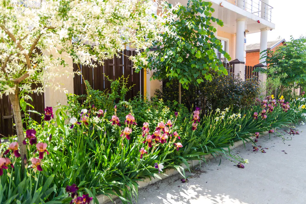 Hotel Abazhur
