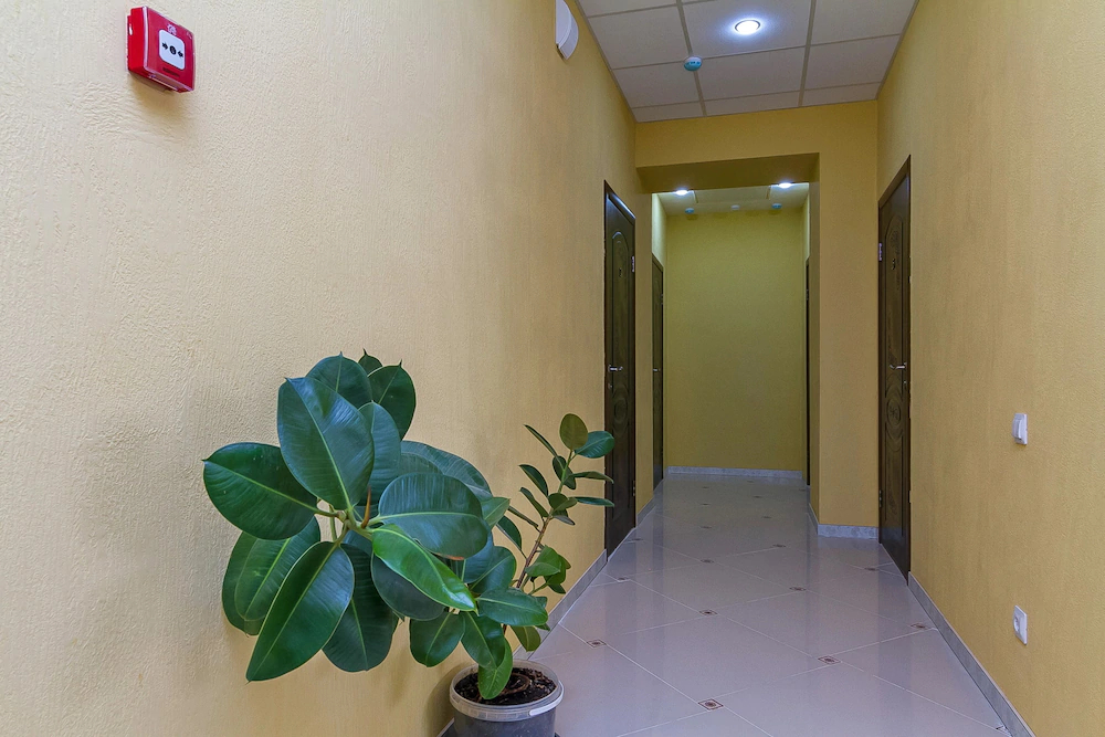 Hotel Abazhur