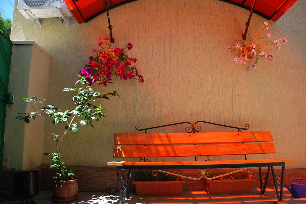 Hostel Svoi