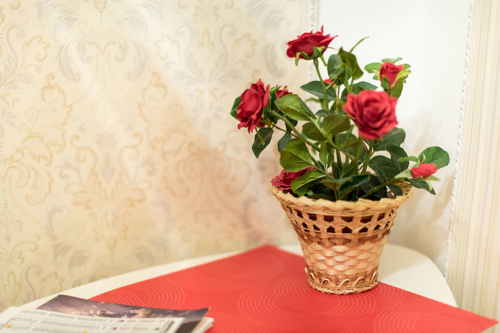 Hostel Svoi