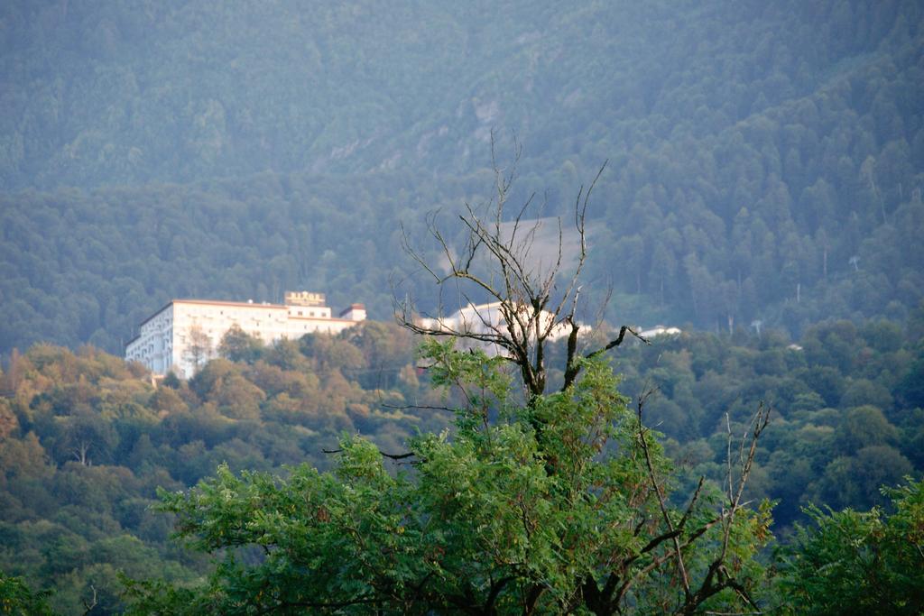 Snegiri Village
