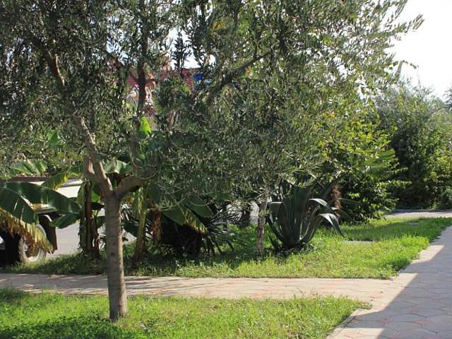 Weekend Guest House