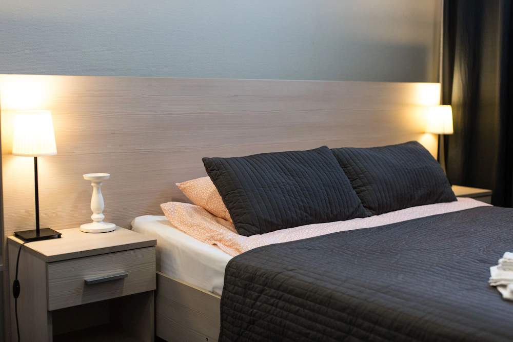 Ligovskiy Dvor Hotel