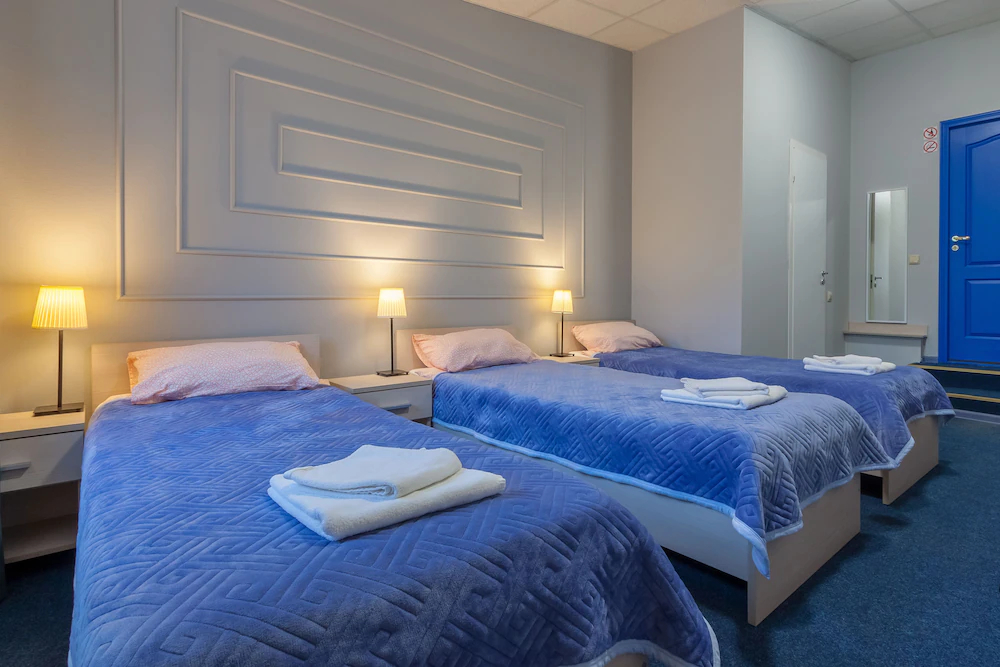 Ligovskiy Dvor Hotel