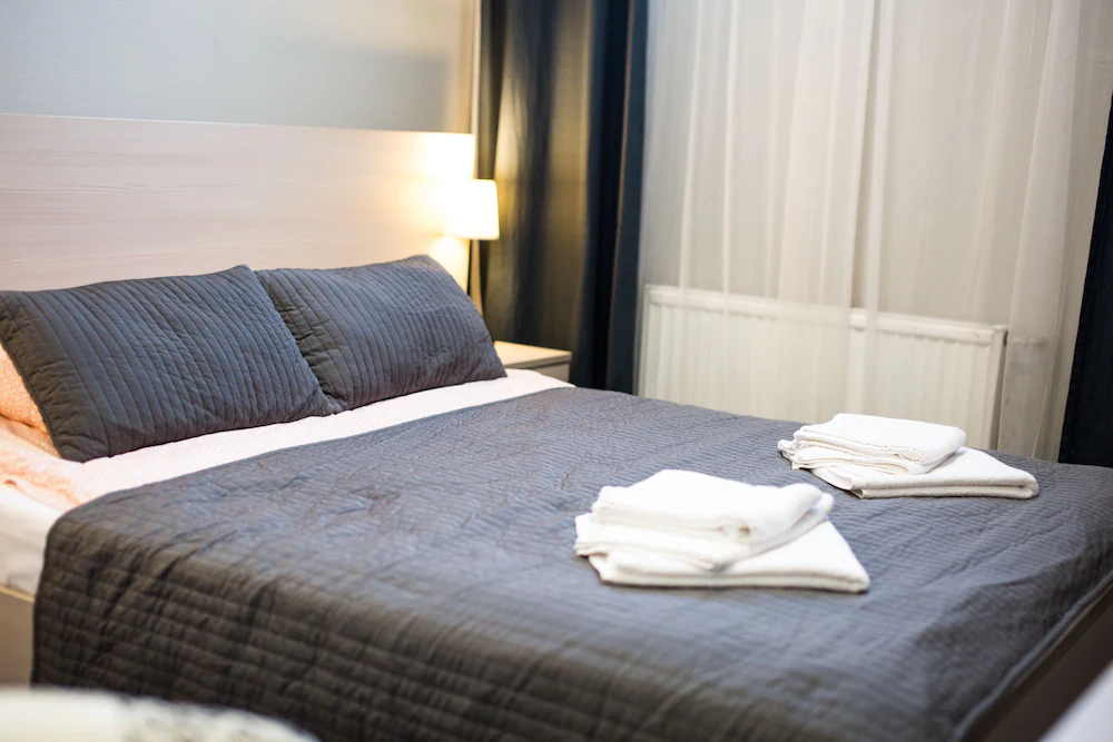 Ligovskiy Dvor Hotel