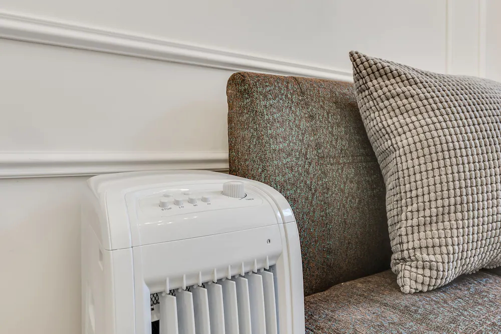 Apart Hotel Paya Sofia