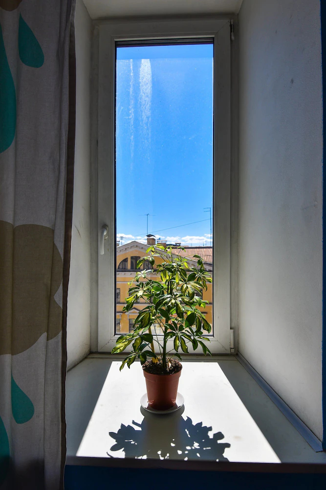 Art Mir Na Nevskom Hostel