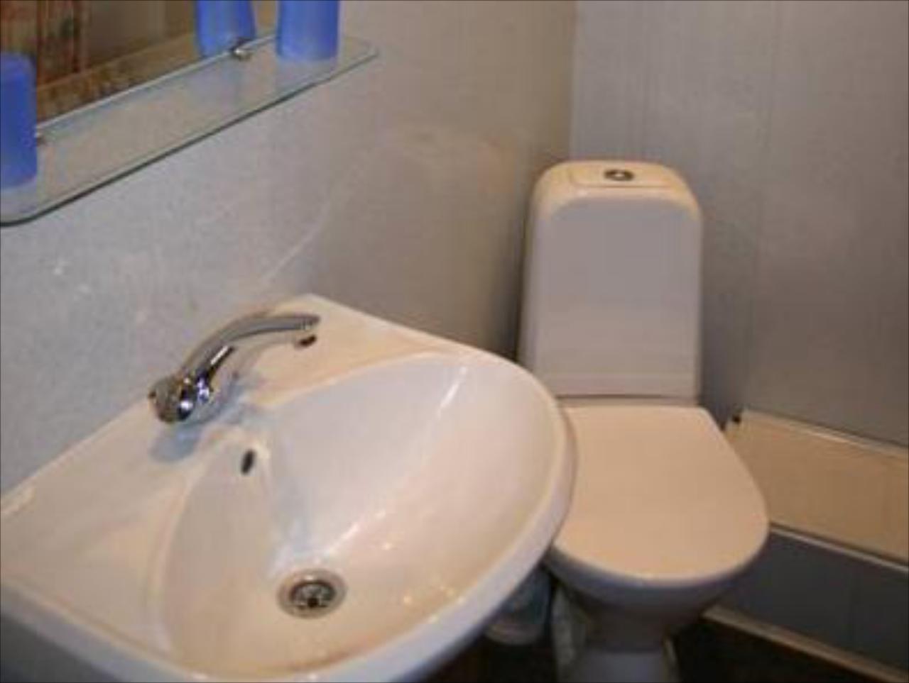 Aurora Petrogradskaya