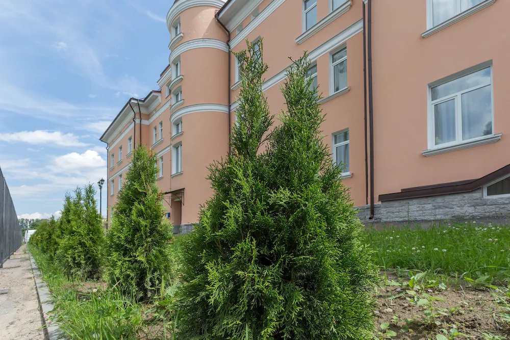 Avetpark Hotel