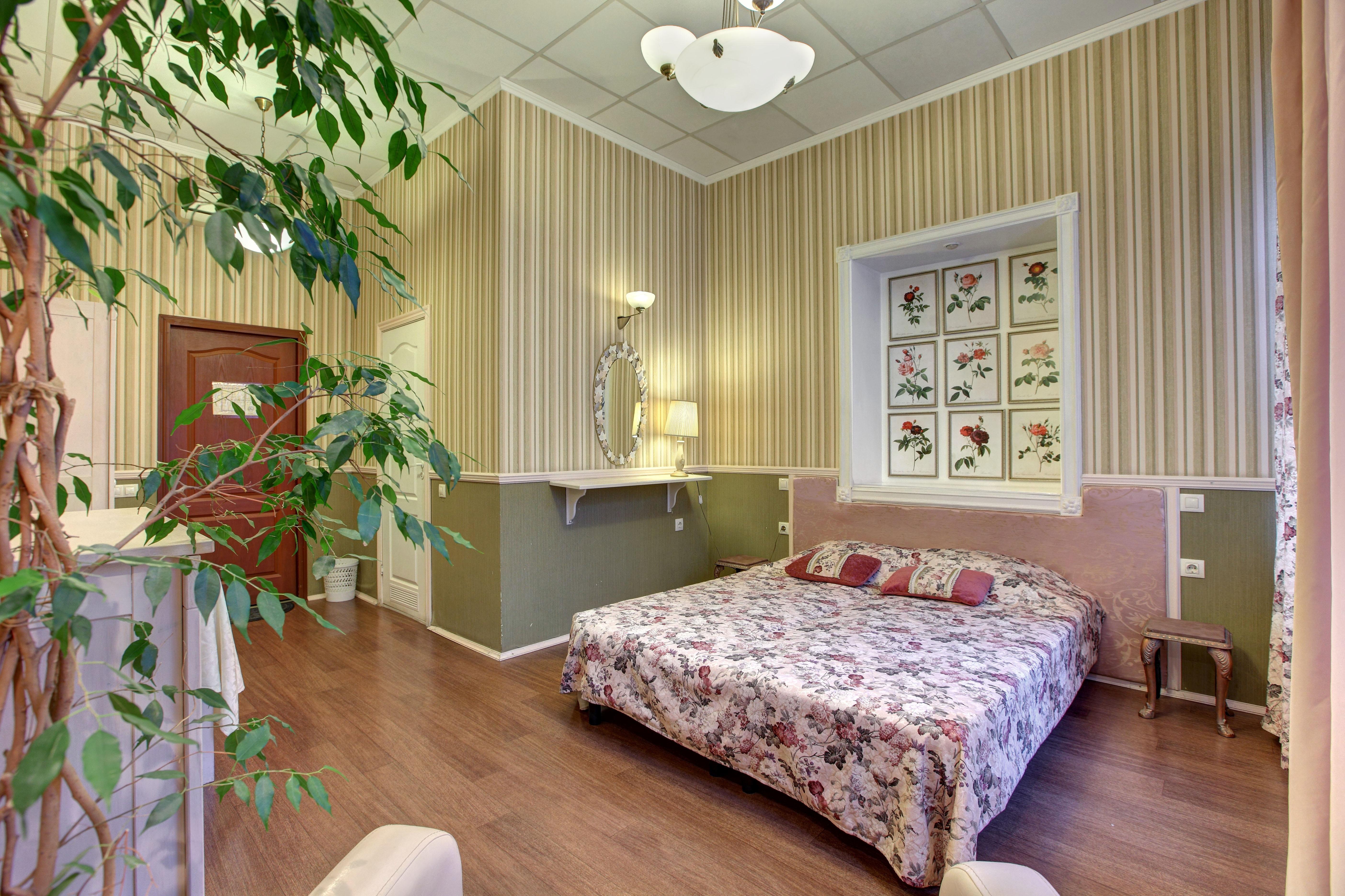 Comfort on Chekhova