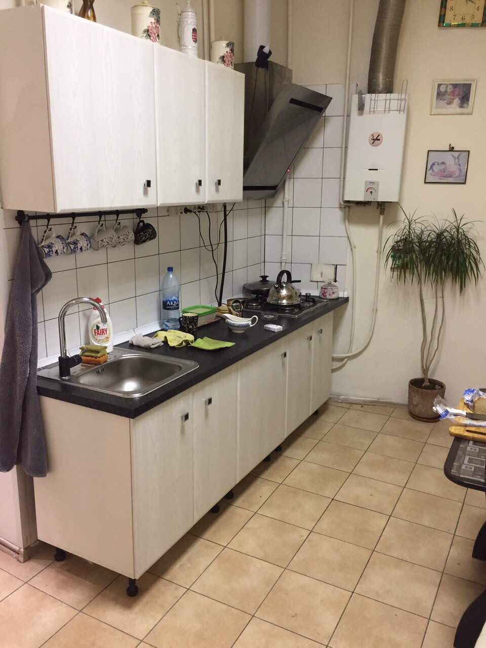 Cvs Gorokhovaya