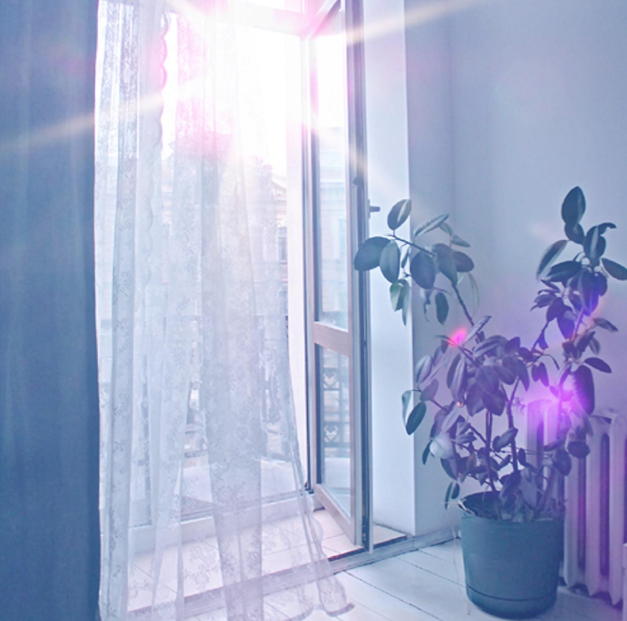 Good Morning Small Hotel