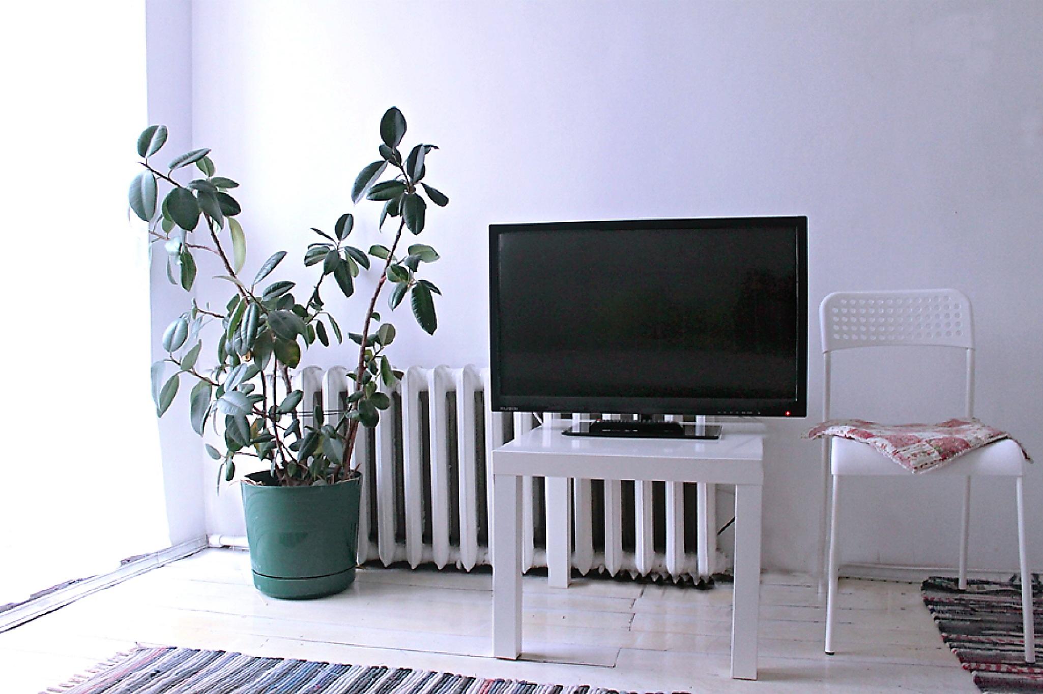 Good Morning Small Hotel