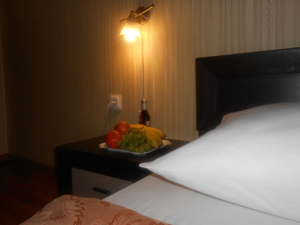 Hotel European