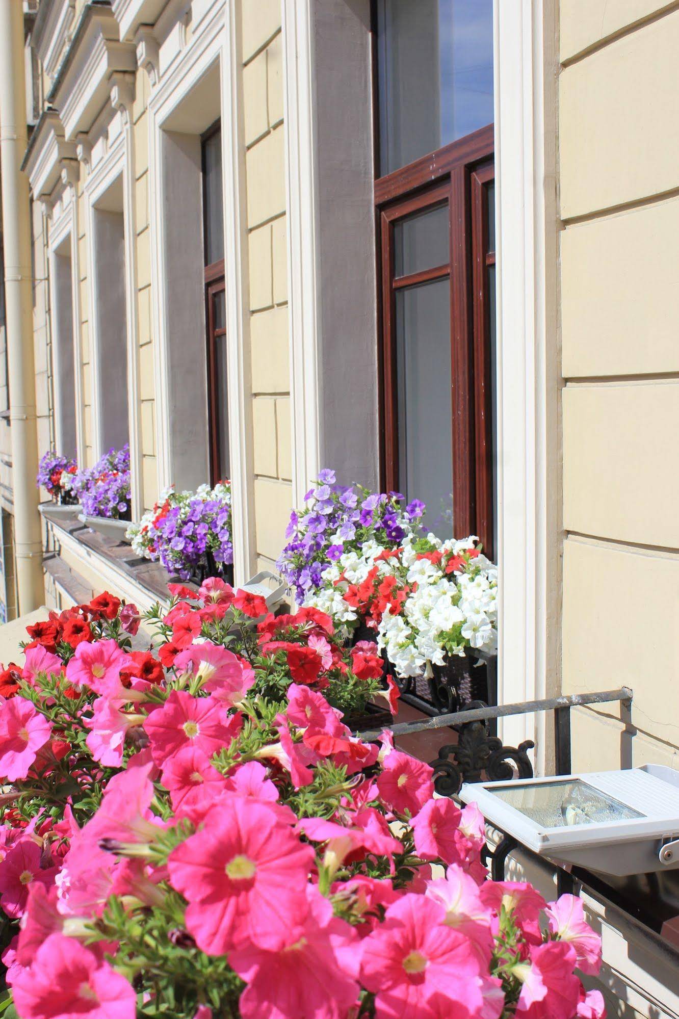 Mary Hotel