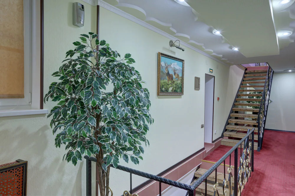 Olympia Hotel