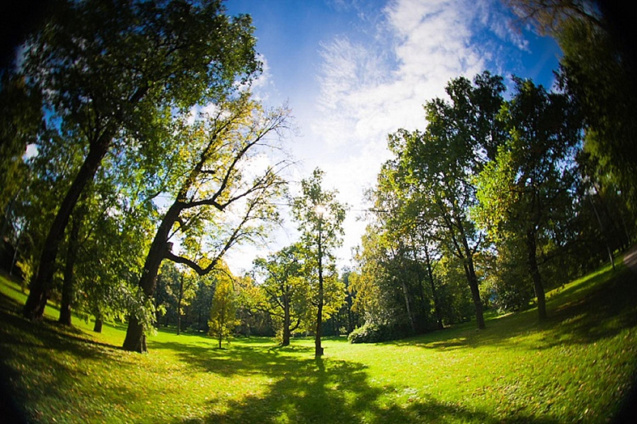 Park