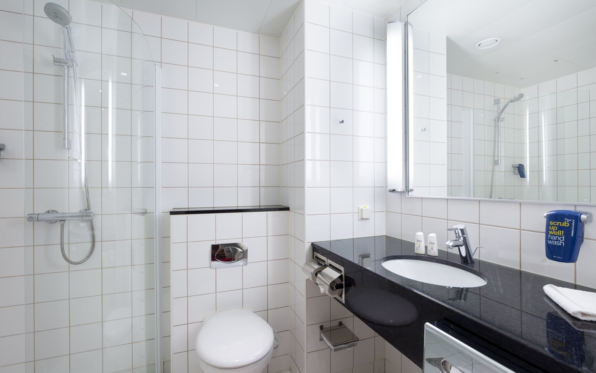 Cosmos Saint-Petersburg Nevsky Prospect Hotel, a member of Radisson Individuals