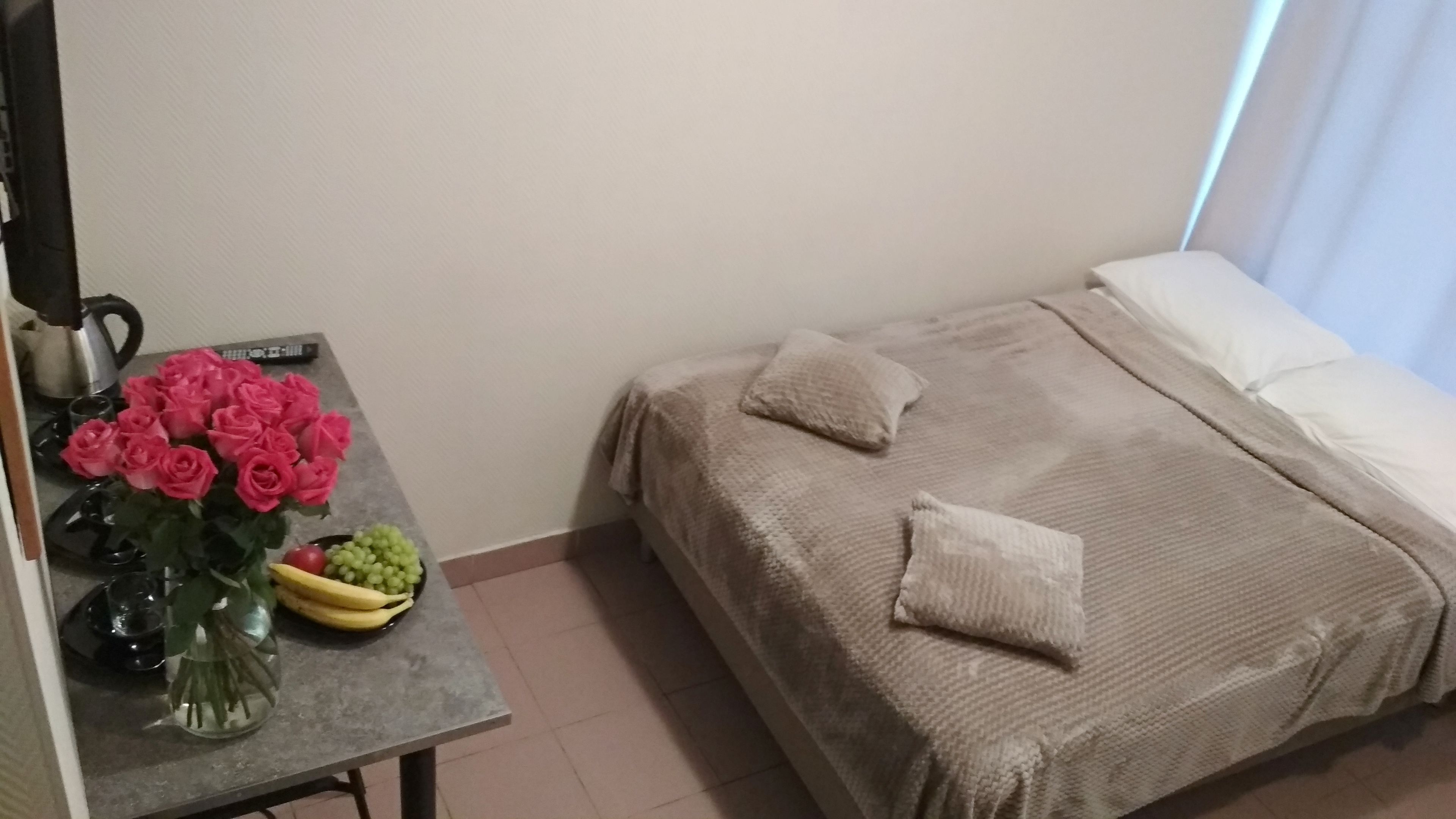 Samsonov Hotel Ligovskiy 48