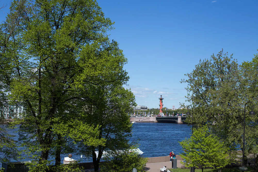 The Bridge