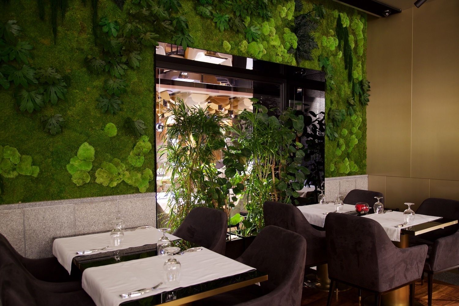 The Gamma Boutique  Hotel