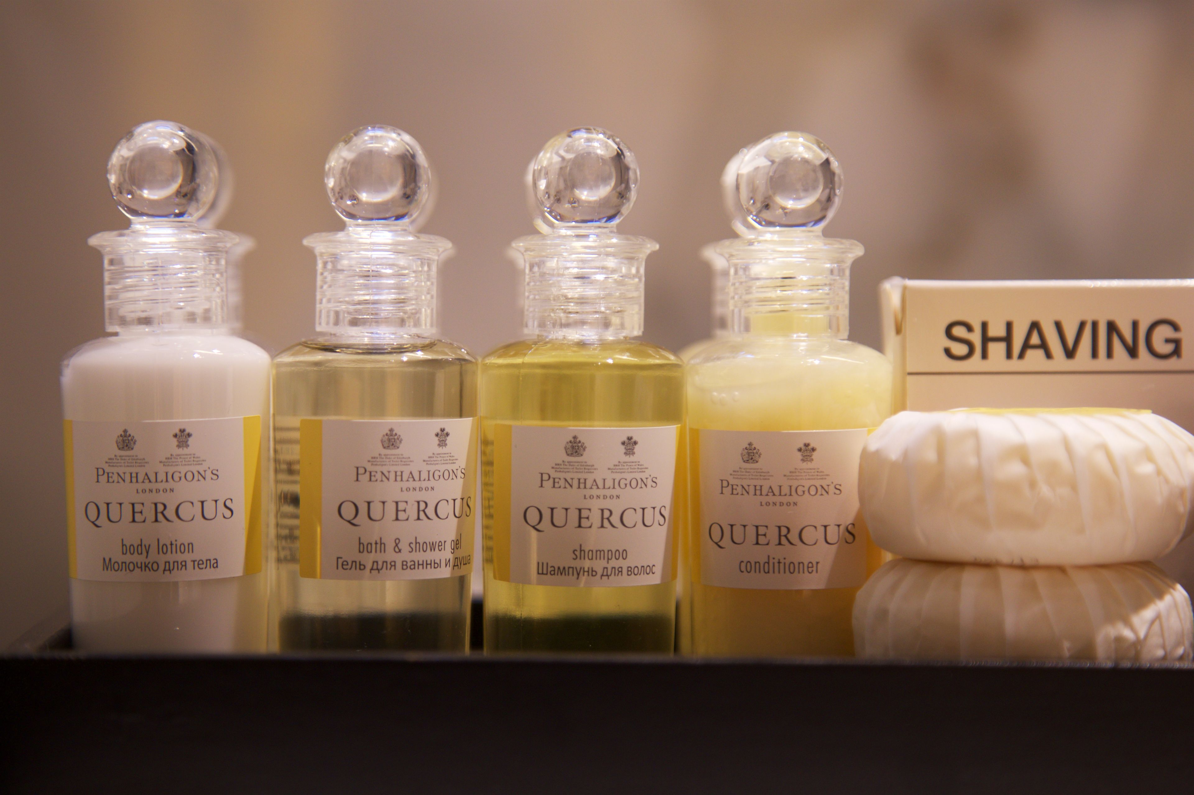 The Gamma Boutique  Hotel