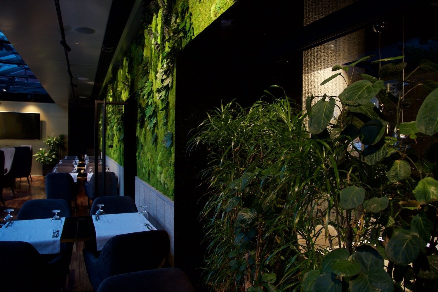 The Gamma Boutique  Hotel