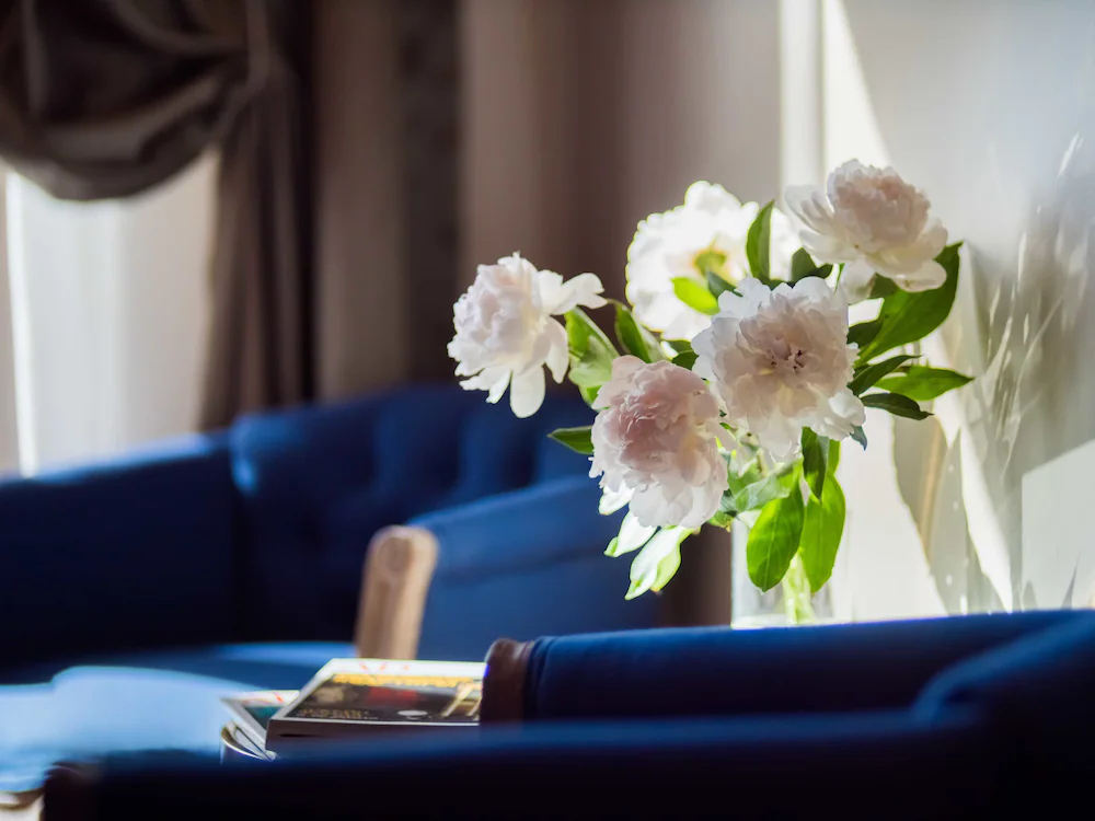 View Art House Russian Ballet