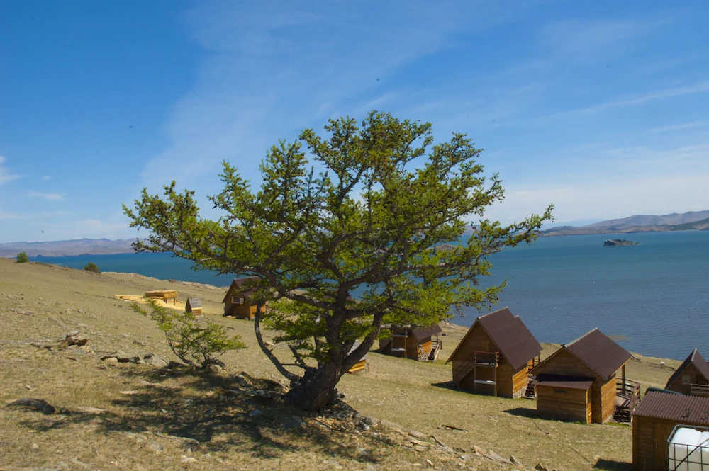 Toynak - Guest Houses - campsite