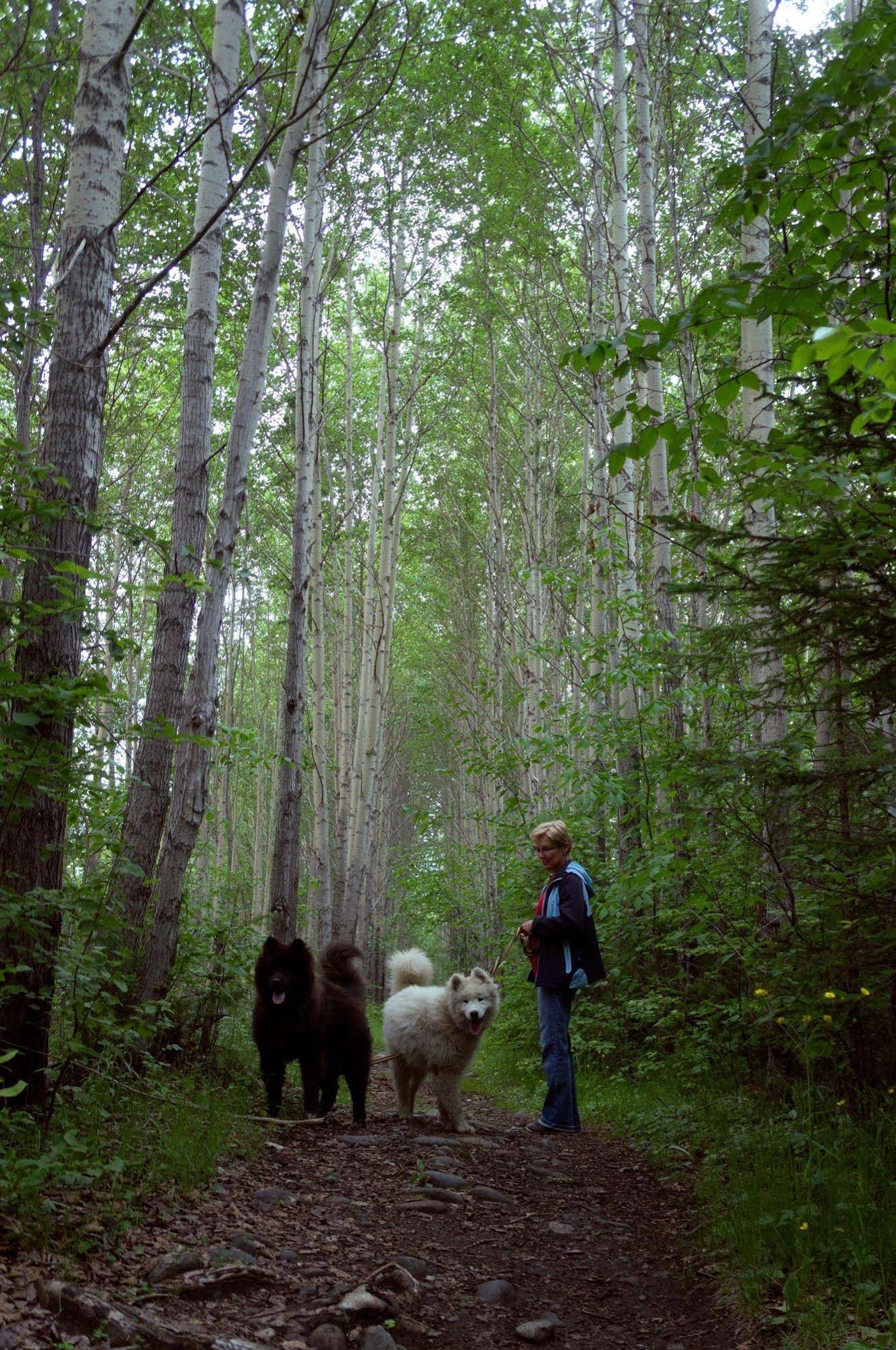 Guest House Baikal Yeti