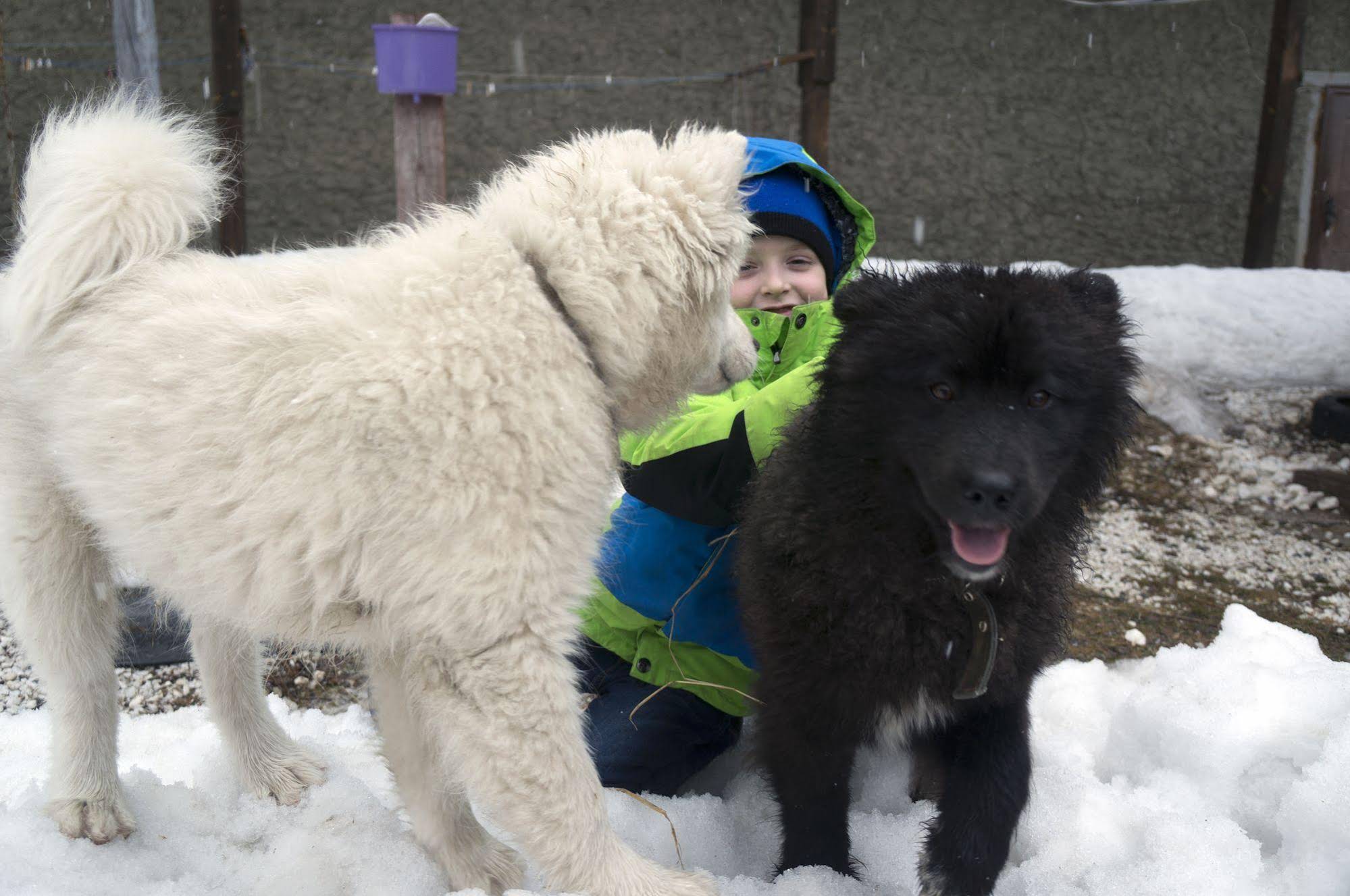Guest House Baikal Yeti