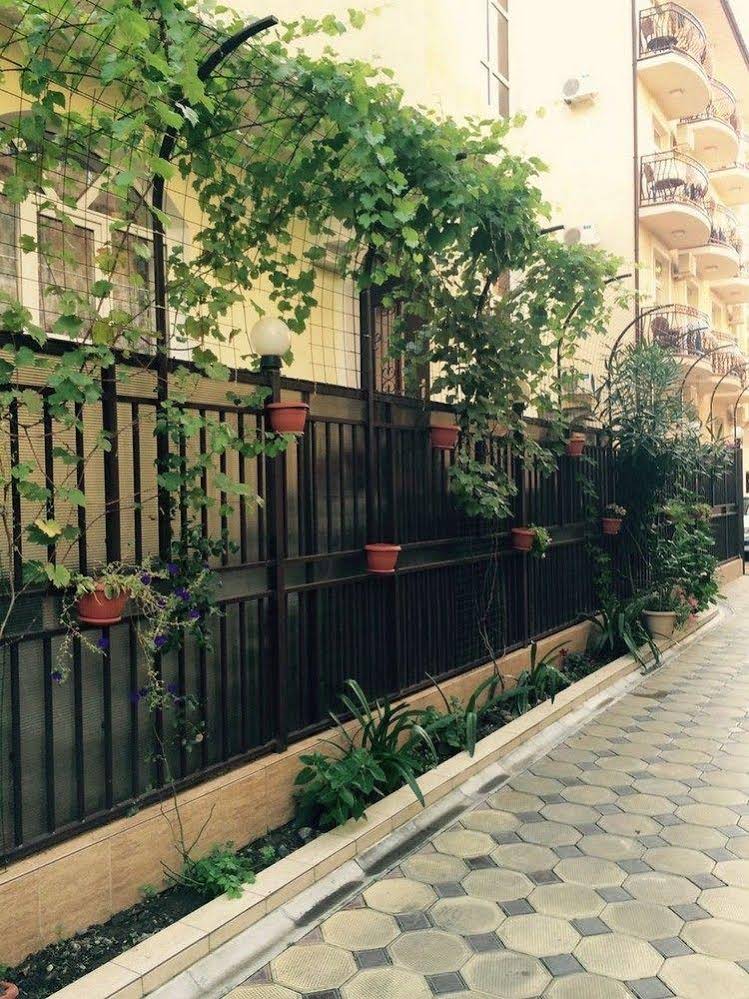 Guest House Grifon