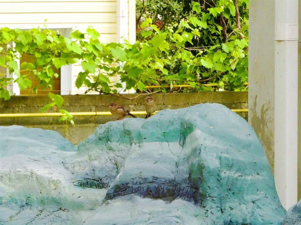 Nostalgiya Guest House