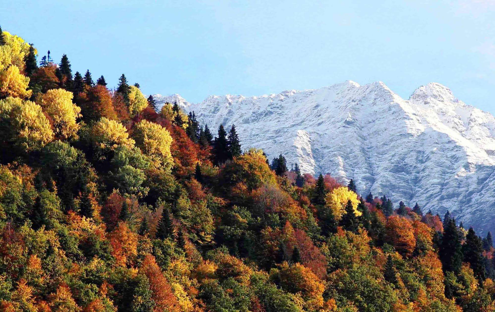 Hotel Dacha na Berezovoy