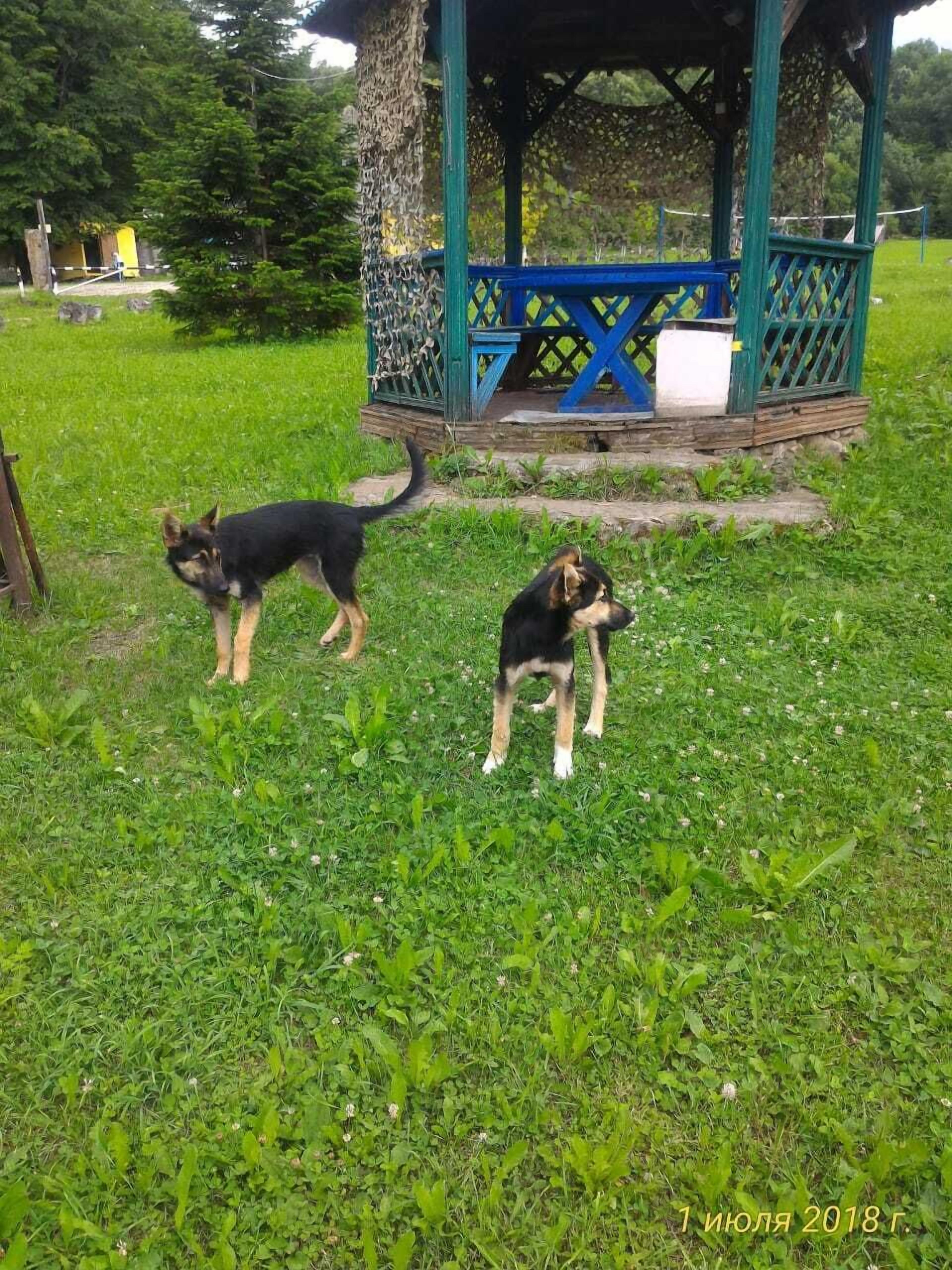 Turbaza Serebryany Klyuch