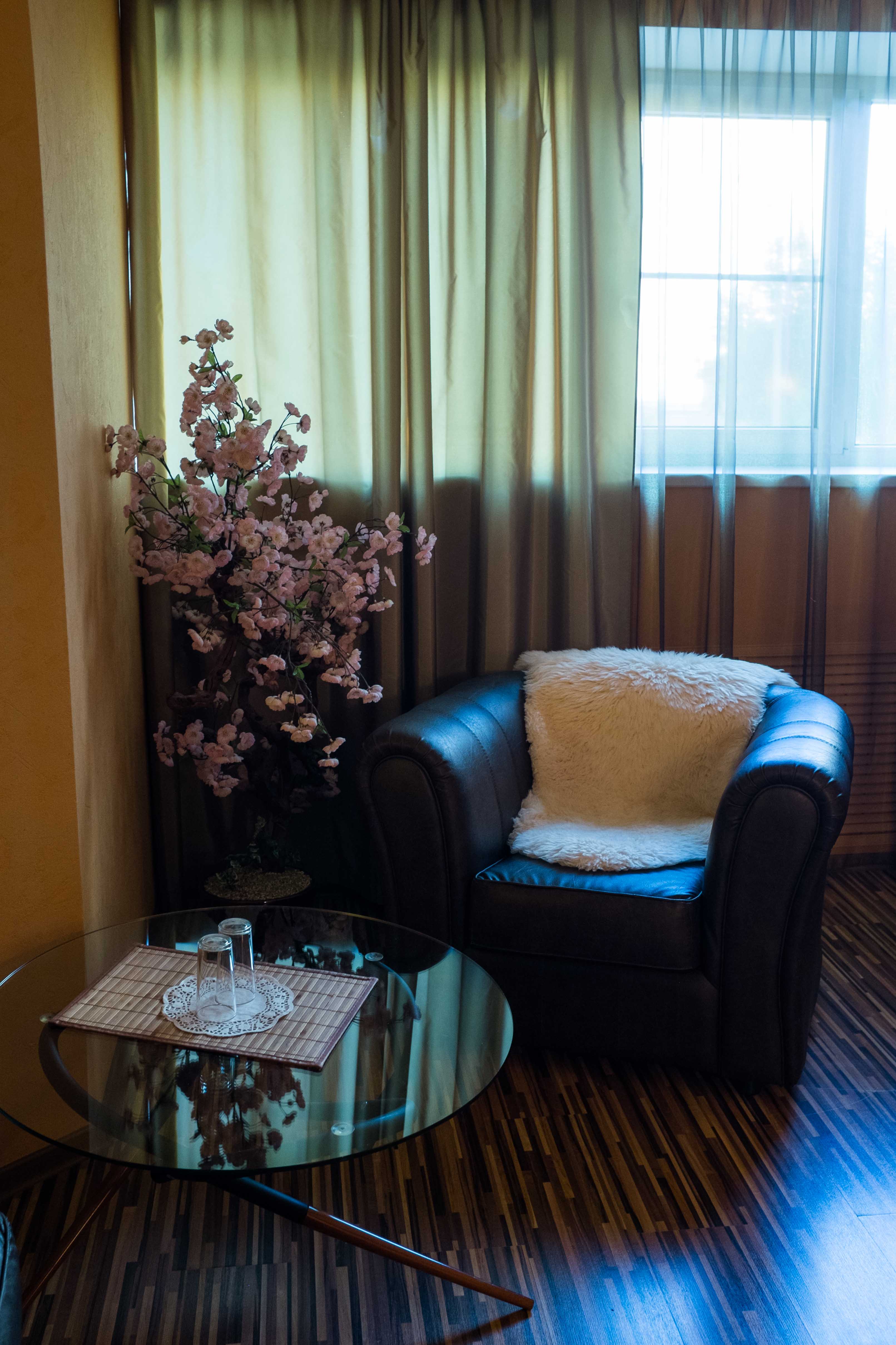 Hotel Gallery (Sakura)