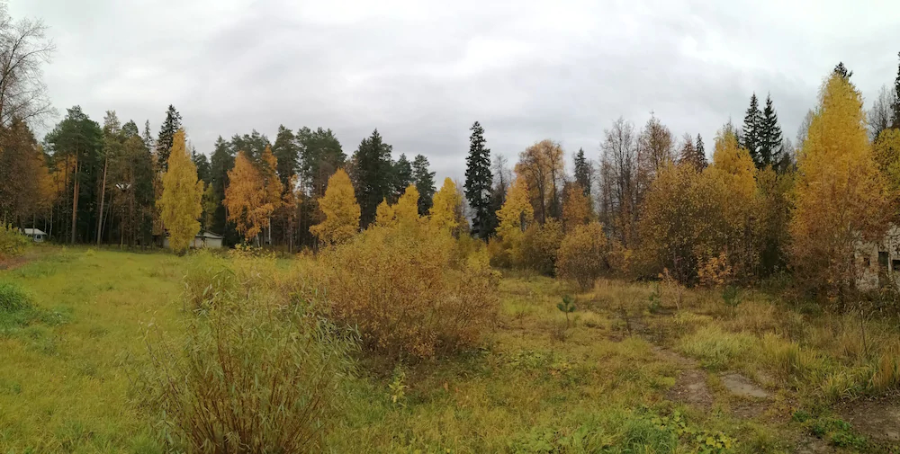 Guest Complex Silent Forest