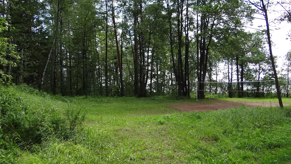 Guest Complex Silent Forest