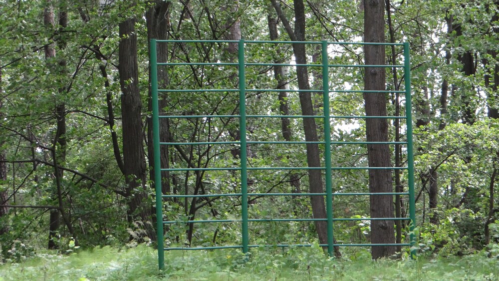 Guest Complex Silent Forest